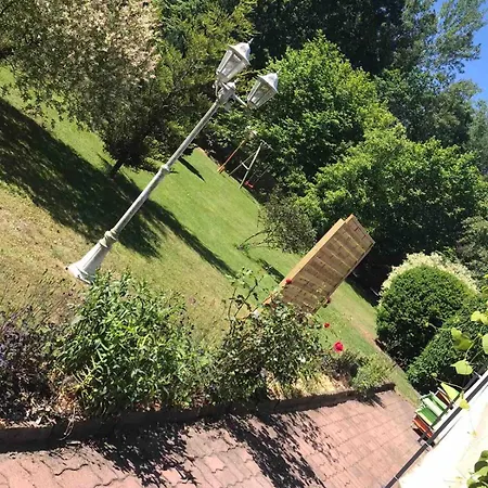 Daire Gw - Am Gruenewalder Lauch - *